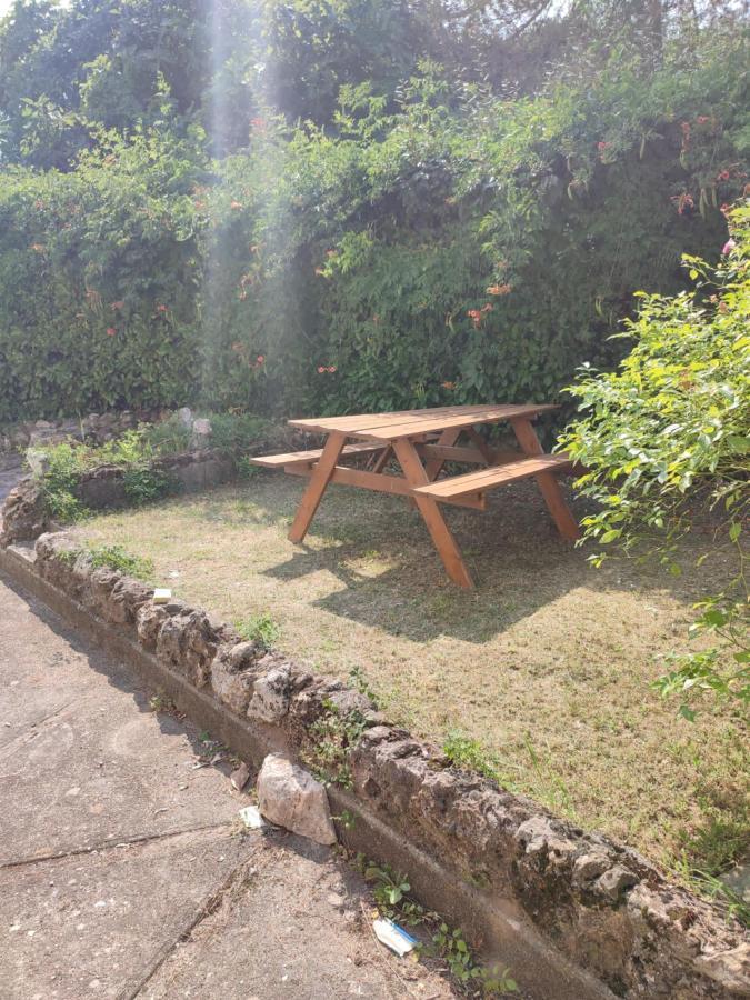 Hebergement De Trepeloup Ales Exterior photo